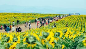 Begin your visa-prepared day with Vietnam’s tranquil ambiance